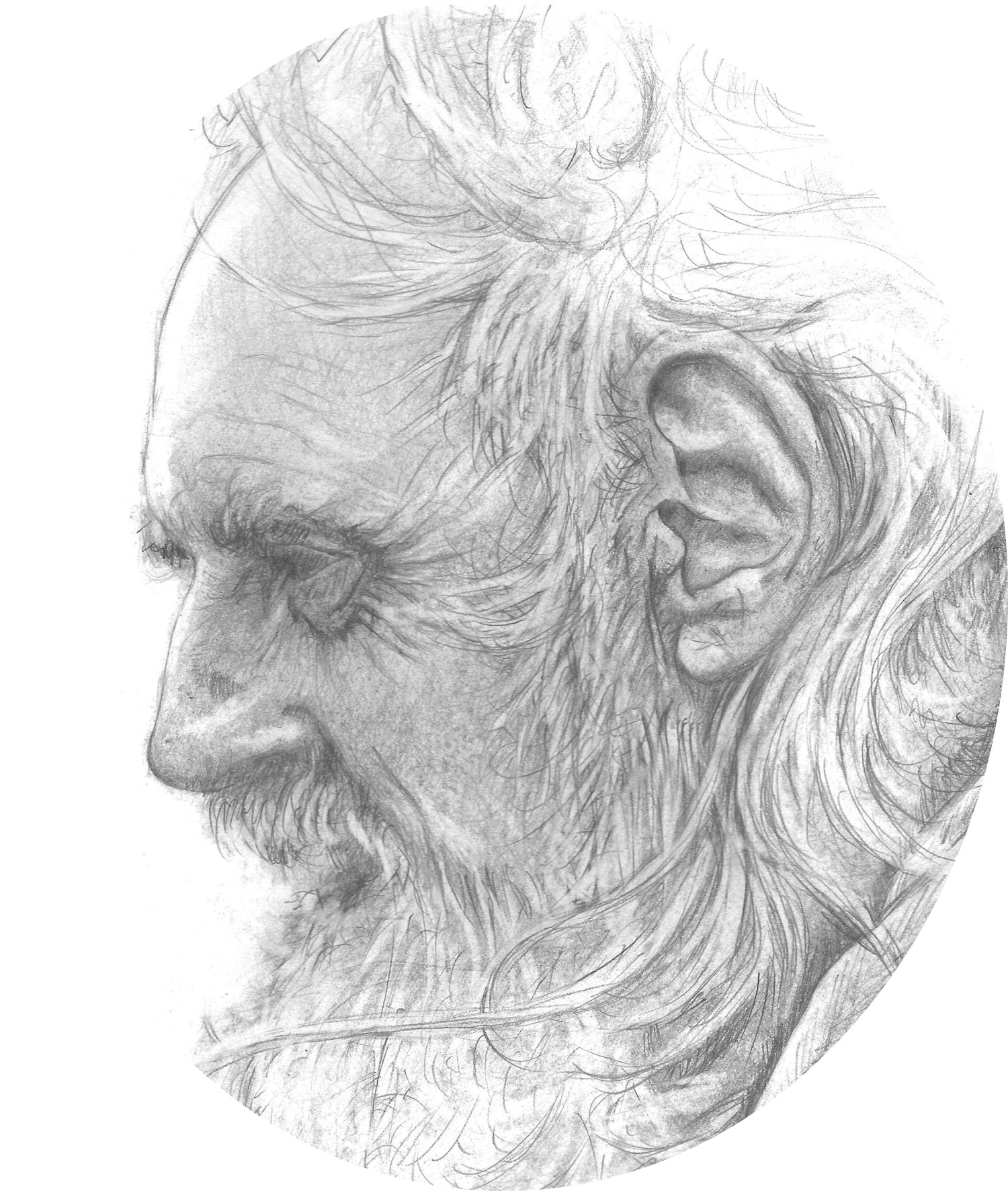 Sketches Old Man